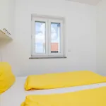 Apartamento In 5648 *